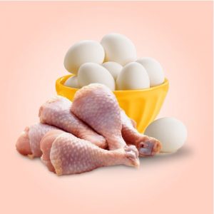 EGGS & POULTRY